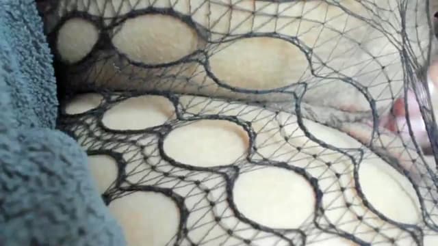 Gallery image thumbnail from Aeena's myfreecams stream on, 10/26/2024, 22:08 image 20 of 20