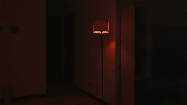Gallery image thumbnail from Aila_'s myfreecams stream on, 12/06/2024, 24:56 image 4 of 20