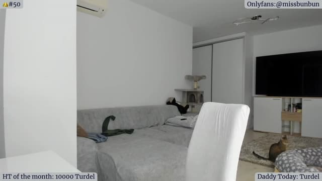 Gallery image thumbnail from Angie's myfreecams stream on, 01/02/2023, 07:12 image 12 of 20