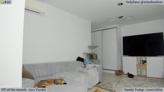 Gallery image thumbnail from Angie's myfreecams stream on, 01/16/2023, 05:53 image 5 of 20