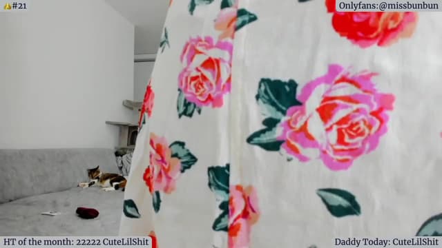 Gallery image thumbnail from Angie's myfreecams stream on, 01/20/2023, 05:50 image 8 of 20