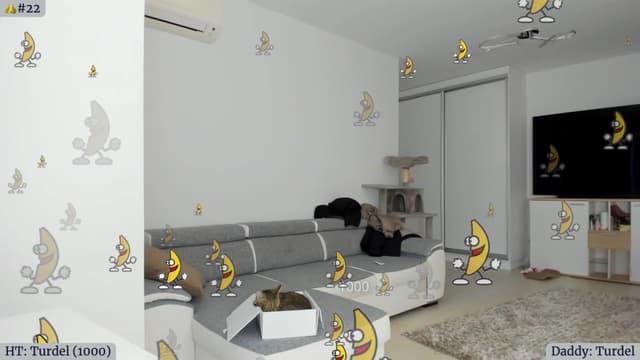Gallery image thumbnail from Angie's myfreecams stream on, 02/04/2023, 05:05 image 13 of 20