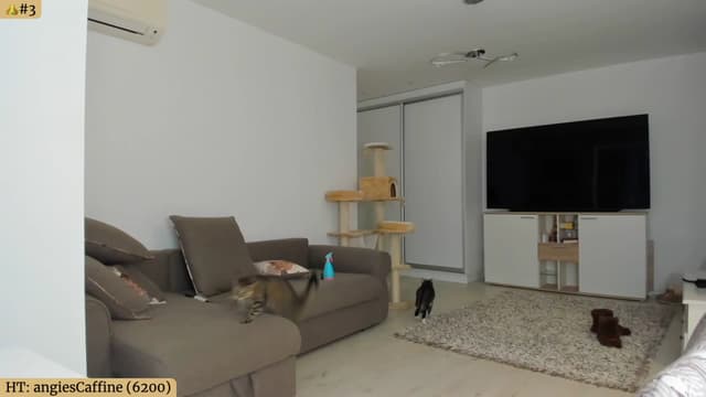 Gallery image thumbnail from Angie's myfreecams stream on, 02/01/2024, 04:19 image 15 of 20