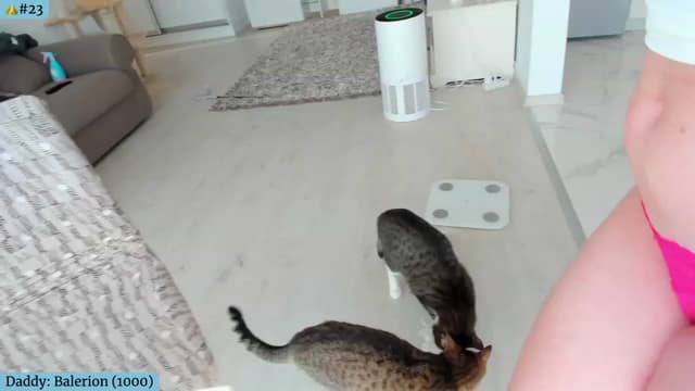 Gallery image thumbnail from Angie's myfreecams stream on, 03/16/2024, 06:16 image 20 of 20