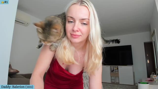 Gallery image thumbnail from Angie's myfreecams stream on, 04/07/2024, 04:53 image 1 of 20