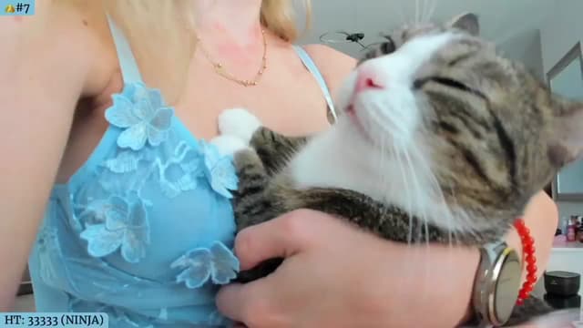 Gallery image thumbnail from Angie's myfreecams stream on, 07/25/2024, 05:14 image 11 of 20