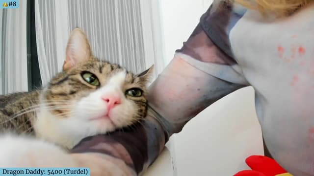 Gallery image thumbnail from Angie's myfreecams stream on, 07/31/2024, 05:15 image 5 of 20