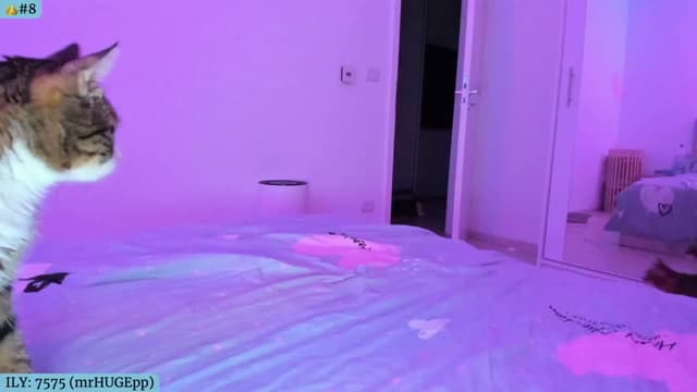 Gallery image thumbnail from Angie's myfreecams stream on, 10/27/2024, 05:50 image 3 of 20