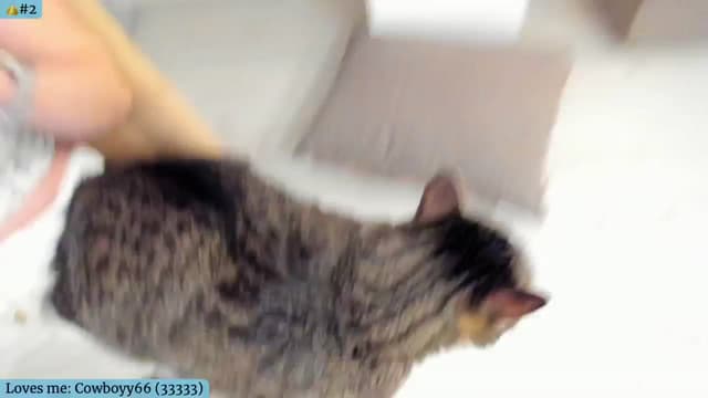 Gallery image thumbnail from Angie's myfreecams stream on, 01/06/2025, 07:08 image 4 of 20