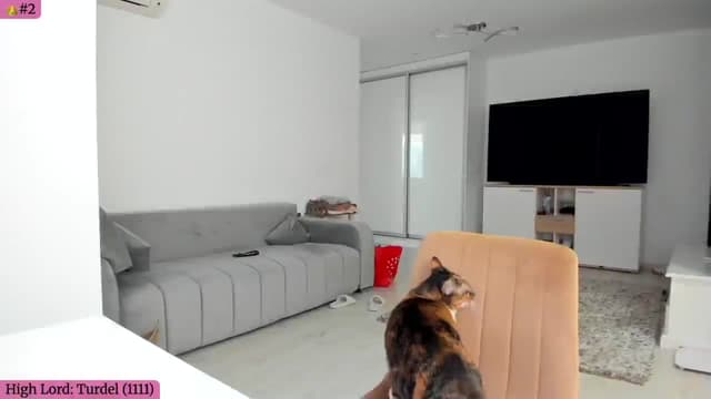 Gallery image thumbnail from Angie's myfreecams stream on, 08/29/2025, 05:10 image 17 of 20
