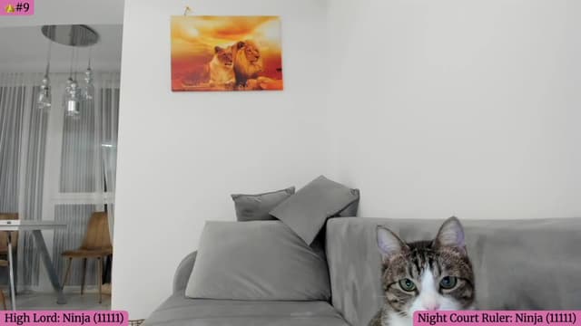 Gallery image thumbnail from Angie's myfreecams stream on, 10/07/2025, 05:41 image 8 of 20