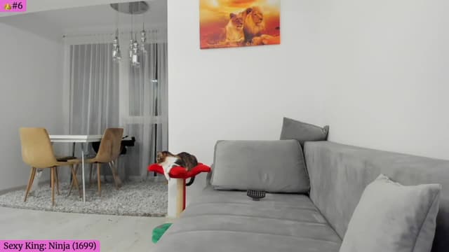 Gallery image thumbnail from Angie's myfreecams stream on, 02/19/2026, 06:01 image 7 of 20