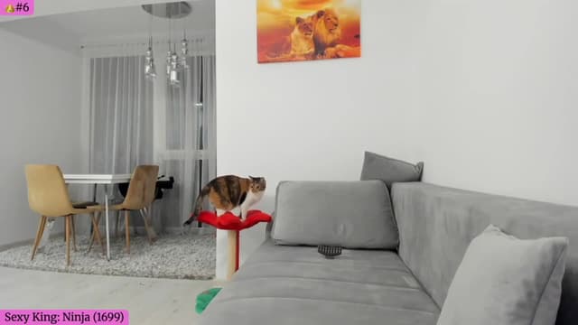 Gallery image thumbnail from Angie's myfreecams stream on, 02/19/2026, 06:01 image 8 of 20