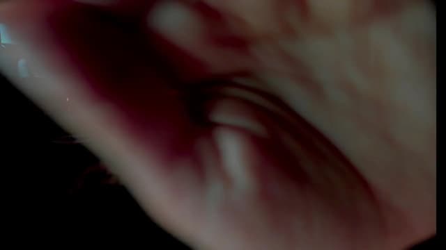 Gallery image thumbnail from BOO_D's myfreecams stream on, 01/20/2026, 22:05 image 12 of 20
