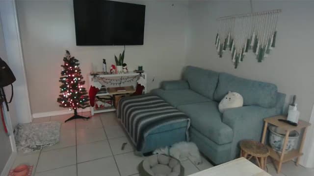 Gallery image thumbnail from Bambz's myfreecams stream on, 01/05/2026, 16:58 image 9 of 20