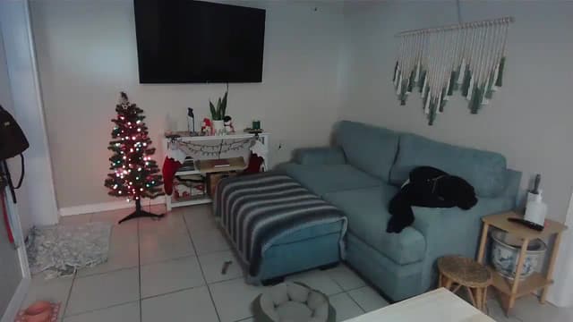 Gallery image thumbnail from Bambz's myfreecams stream on, 01/05/2026, 16:58 image 14 of 20