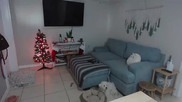 Gallery image thumbnail from Bambz's myfreecams stream on, 01/05/2026, 16:58 image 1 of 20