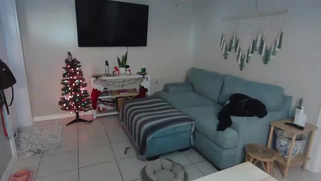 Gallery image thumbnail from Bambz's myfreecams stream on, 01/05/2026, 16:58 image 20 of 20