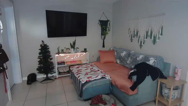 Gallery image thumbnail from Bambz's myfreecams stream on, 01/06/2026, 15:06 image 18 of 20