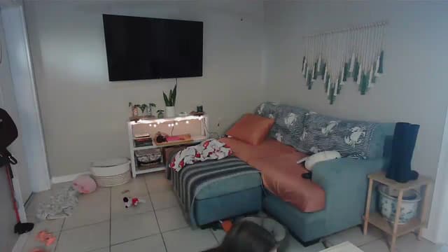 Gallery image thumbnail from Bambz's myfreecams stream on, 01/08/2026, 16:10 image 11 of 20