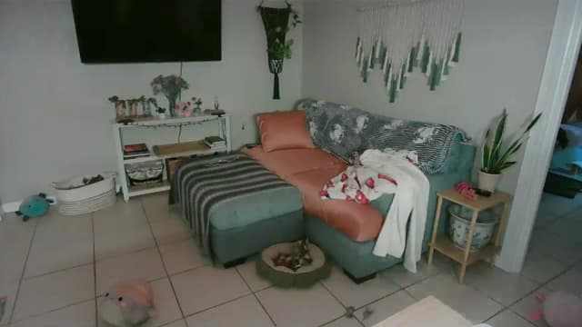 Gallery image thumbnail from Bambz's myfreecams stream on, 01/27/2026, 02:09 image 3 of 20