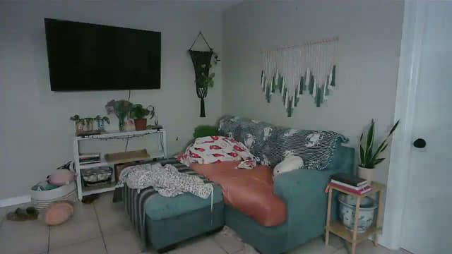 Gallery image thumbnail from Bambz's myfreecams stream on, 01/28/2026, 02:25 image 6 of 20