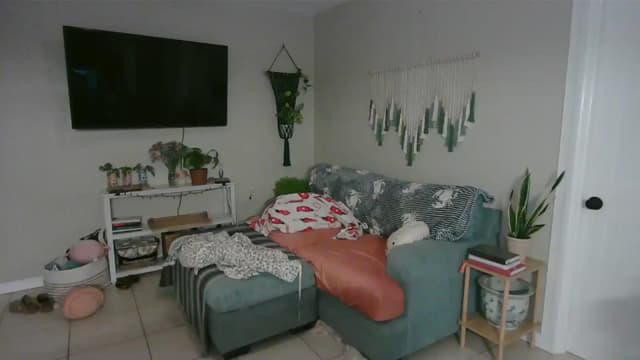 Gallery image thumbnail from Bambz's myfreecams stream on, 01/28/2026, 02:25 image 10 of 20