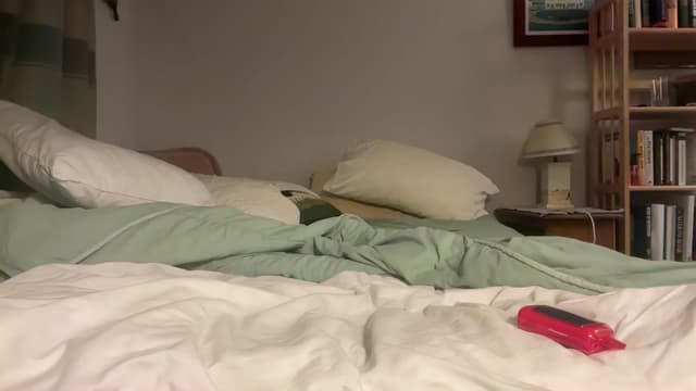 Gallery image thumbnail from Becka's myfreecams stream on, 05/19/2024, 08:07 image 9 of 20