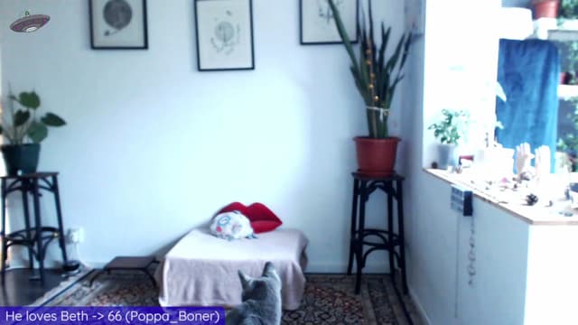 Gallery image thumbnail from Beth_'s myfreecams stream on, 06/12/2023, 14:32 image 17 of 20