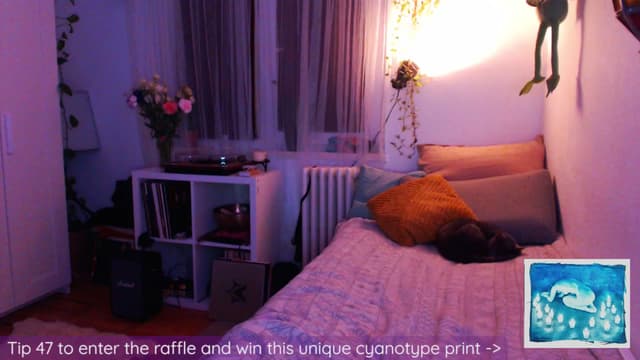 Gallery image thumbnail from Beth_'s myfreecams stream on, 12/07/2024, 18:10 image 20 of 20