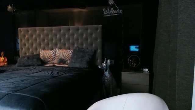 Gallery image thumbnail from D_y_y's myfreecams stream on, 07/25/2025, 05:06 image 5 of 20