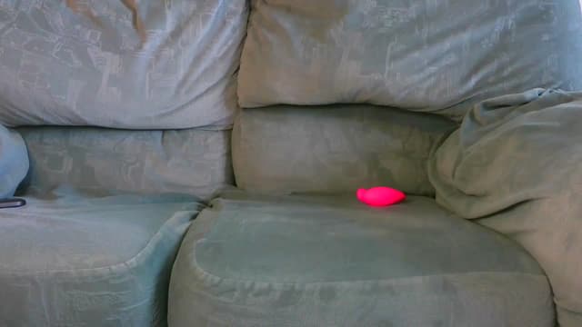 Gallery image thumbnail from Darsi's myfreecams stream on, 12/18/2023, 12:12 image 9 of 20