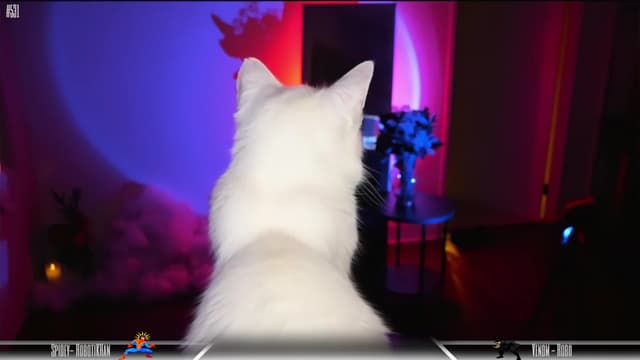 Gallery image thumbnail from Dashy's myfreecams stream on, 02/17/2024, 12:36 image 19 of 20
