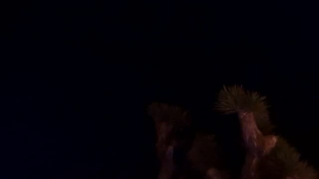 Gallery image thumbnail from Dashy's myfreecams stream on, 08/10/2024, 11:09 image 1 of 20
