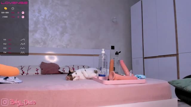 Gallery image thumbnail from Diaaa's myfreecams stream on, 05/28/2023, 20:25 image 2 of 20