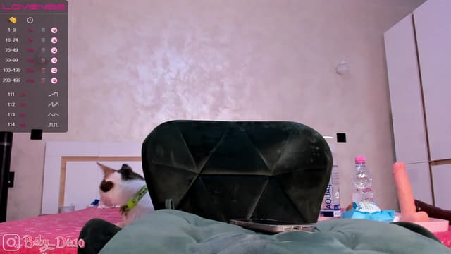 Gallery image thumbnail from Diaaa's myfreecams stream on, 06/05/2023, 19:39 image 13 of 20
