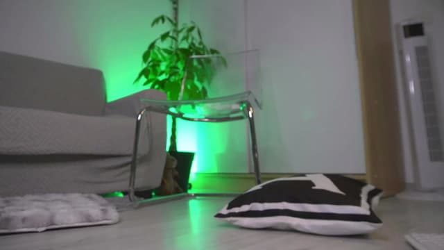 Gallery image thumbnail from Diaaa's myfreecams stream on, 11/15/2025, 13:37 image 12 of 20