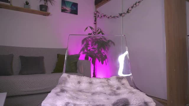 Gallery image thumbnail from Diaaa's myfreecams stream on, 12/02/2025, 12:10 image 19 of 20