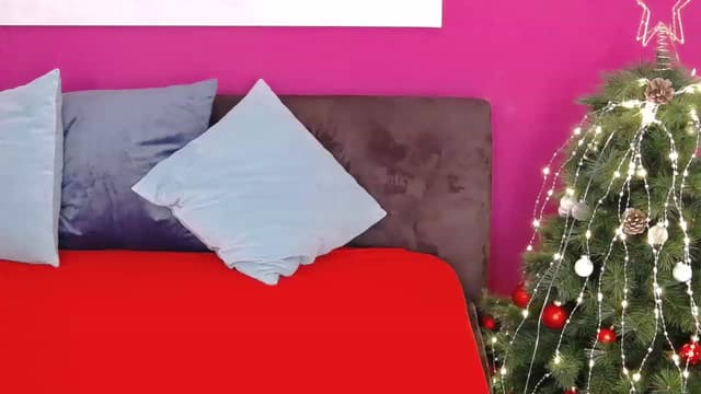 Gallery image thumbnail from Er_in's myfreecams stream on, 12/26/2022, 16:37 image 15 of 20