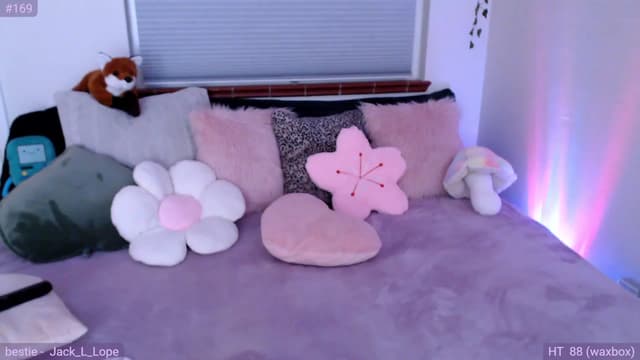 Gallery image thumbnail from Fiona's myfreecams stream on, 08/11/2023, 06:52 image 4 of 20