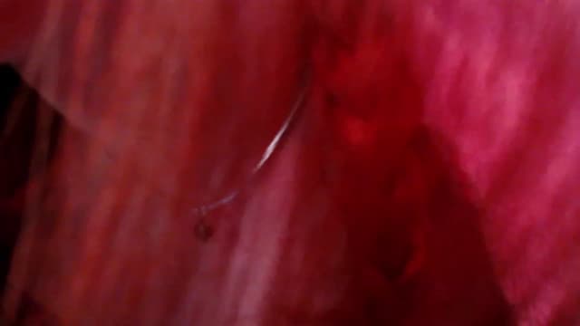 Gallery image thumbnail from Fiona's myfreecams stream on, 12/09/2023, 11:56 image 5 of 20
