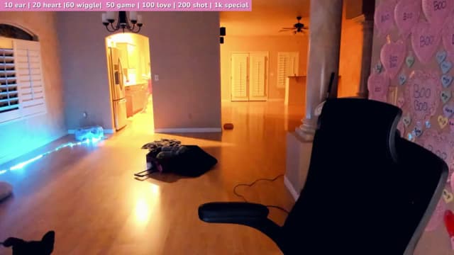 Gallery image thumbnail from Haru_'s myfreecams stream on, 03/31/2025, 05:20 image 2 of 20