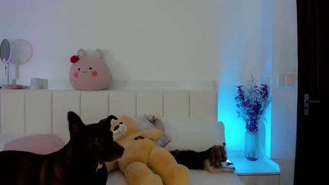 Gallery image thumbnail from Haru_'s myfreecams stream on, 07/09/2025, 05:59 image 1 of 20