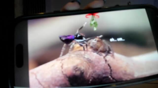 Gallery image thumbnail from Haru_'s myfreecams stream on, 09/04/2025, 05:58 image 17 of 20