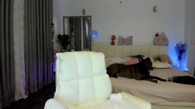 Gallery image thumbnail from Haru_'s myfreecams stream on, 09/26/2025, 05:42 image 1 of 20