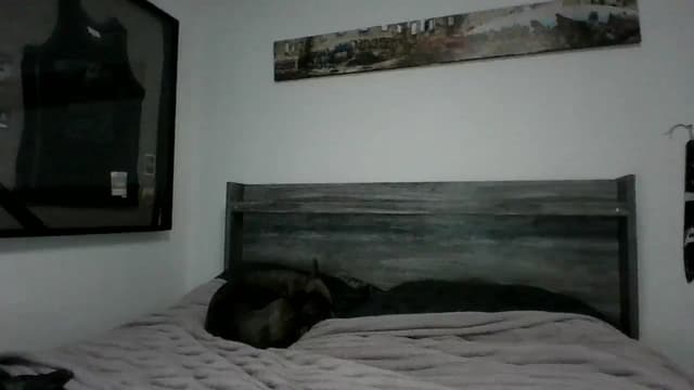 Gallery image thumbnail from Hxzel's myfreecams stream on, 04/30/2025, 03:19 image 15 of 20