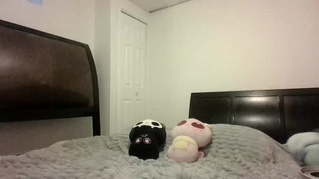 Gallery image thumbnail from Hxzel's myfreecams stream on, 07/24/2025, 02:31 image 19 of 20