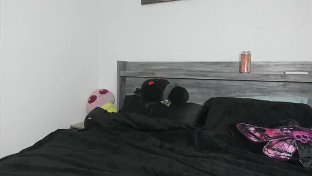 Gallery image thumbnail from Hxzel's myfreecams stream on, 03/07/2026, 04:29 image 18 of 20