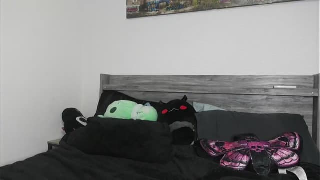 Gallery image thumbnail from Hxzel's myfreecams stream on, 03/10/2026, 01:53 image 17 of 20