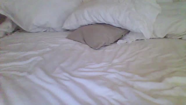 Gallery image thumbnail from Isa__'s myfreecams stream on, 06/23/2024, 21:29 image 8 of 20